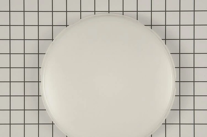 951dac34-e49a-4b88-884a-28a570674d49_small main product photo