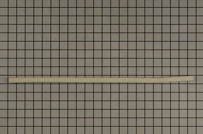 W10668165 Whirlpool Refrigerator Gasket