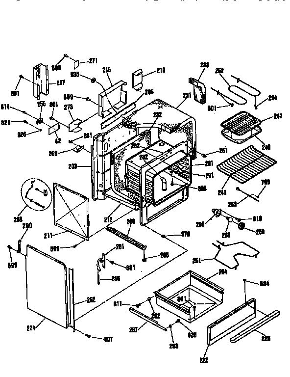 BODY SECTION