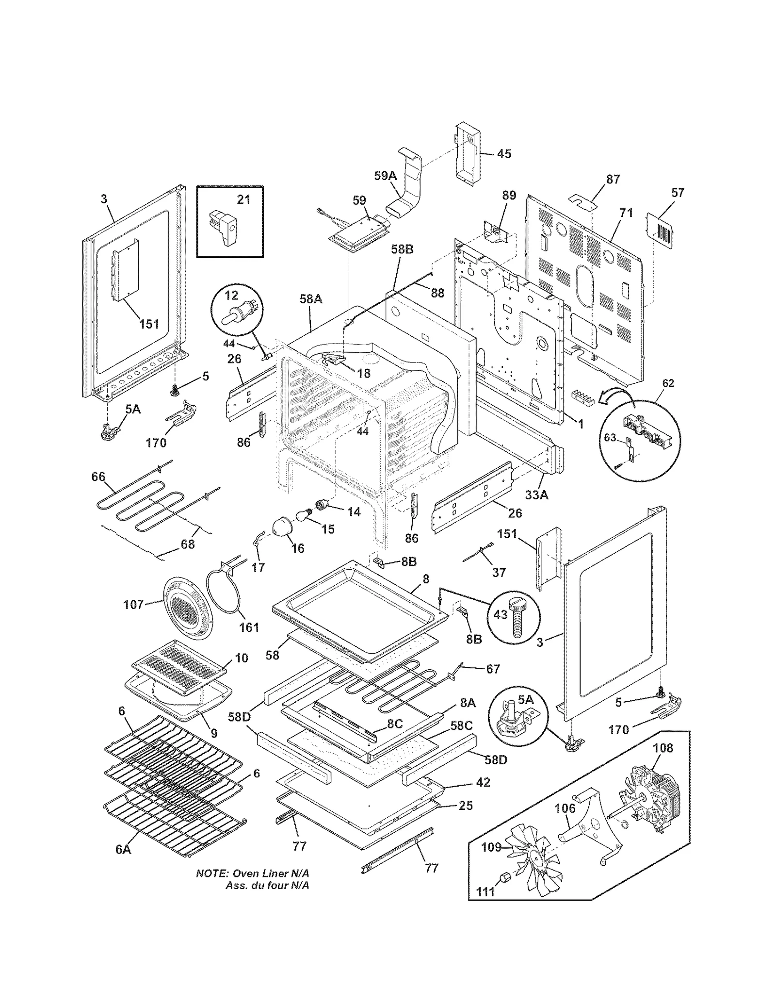 BODY