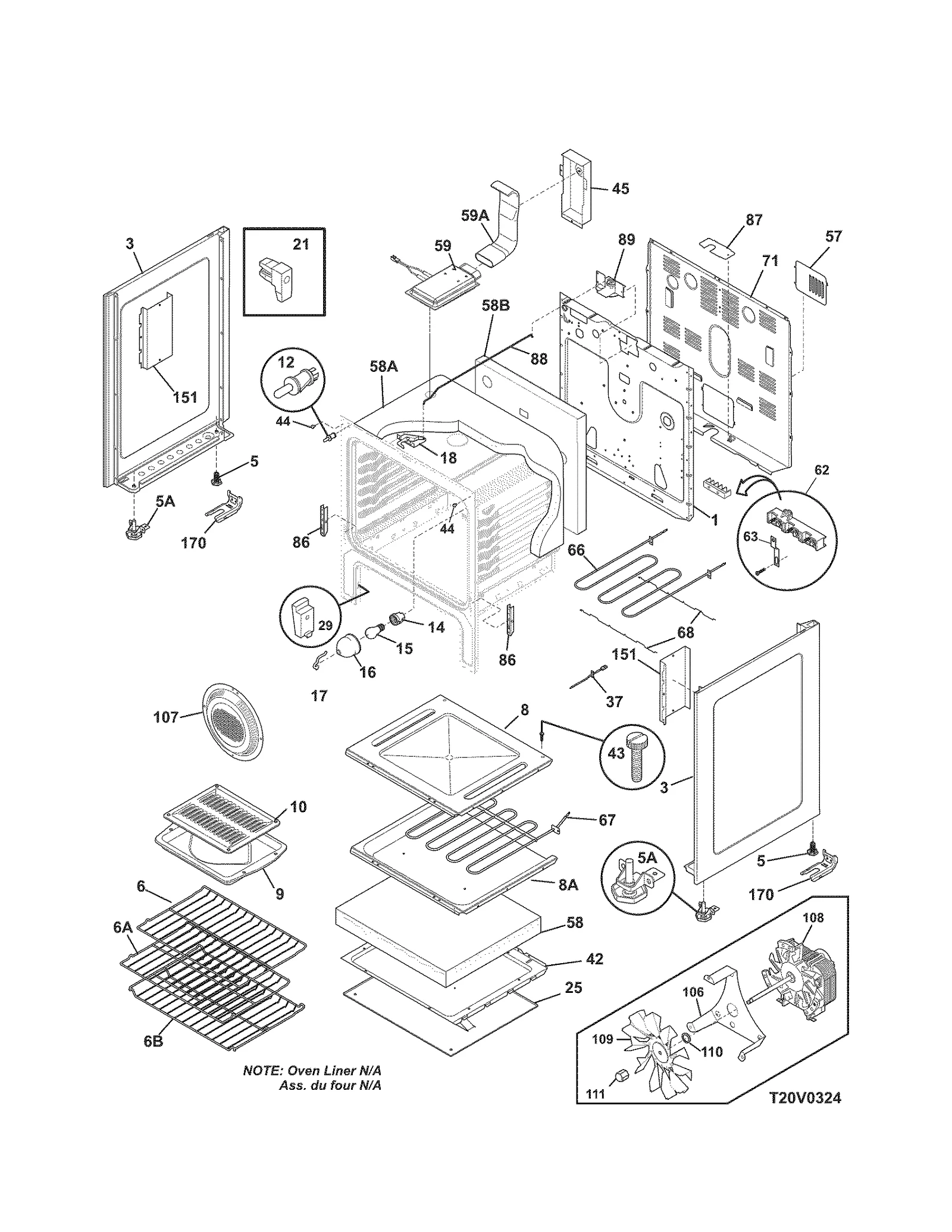 BODY