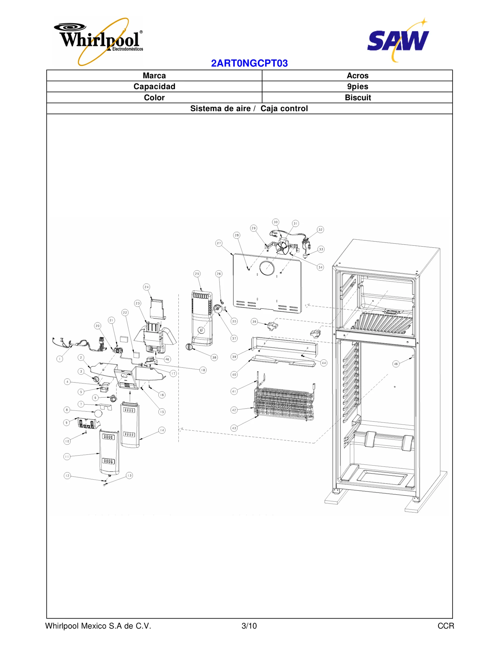 SECTION