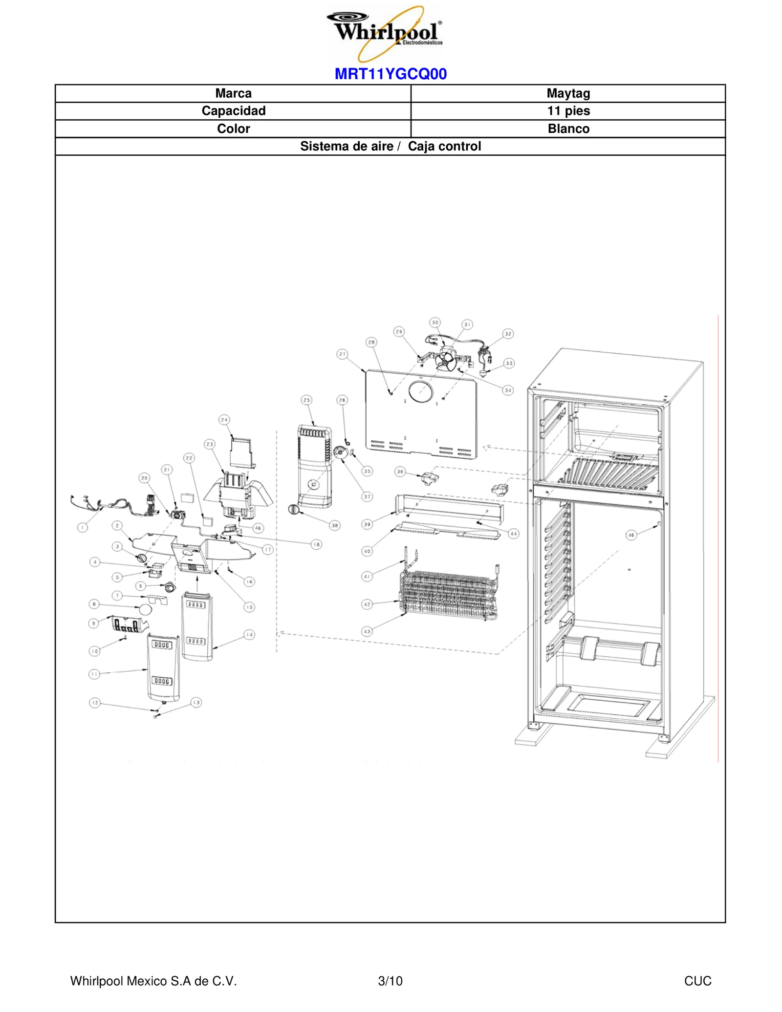 SECTION