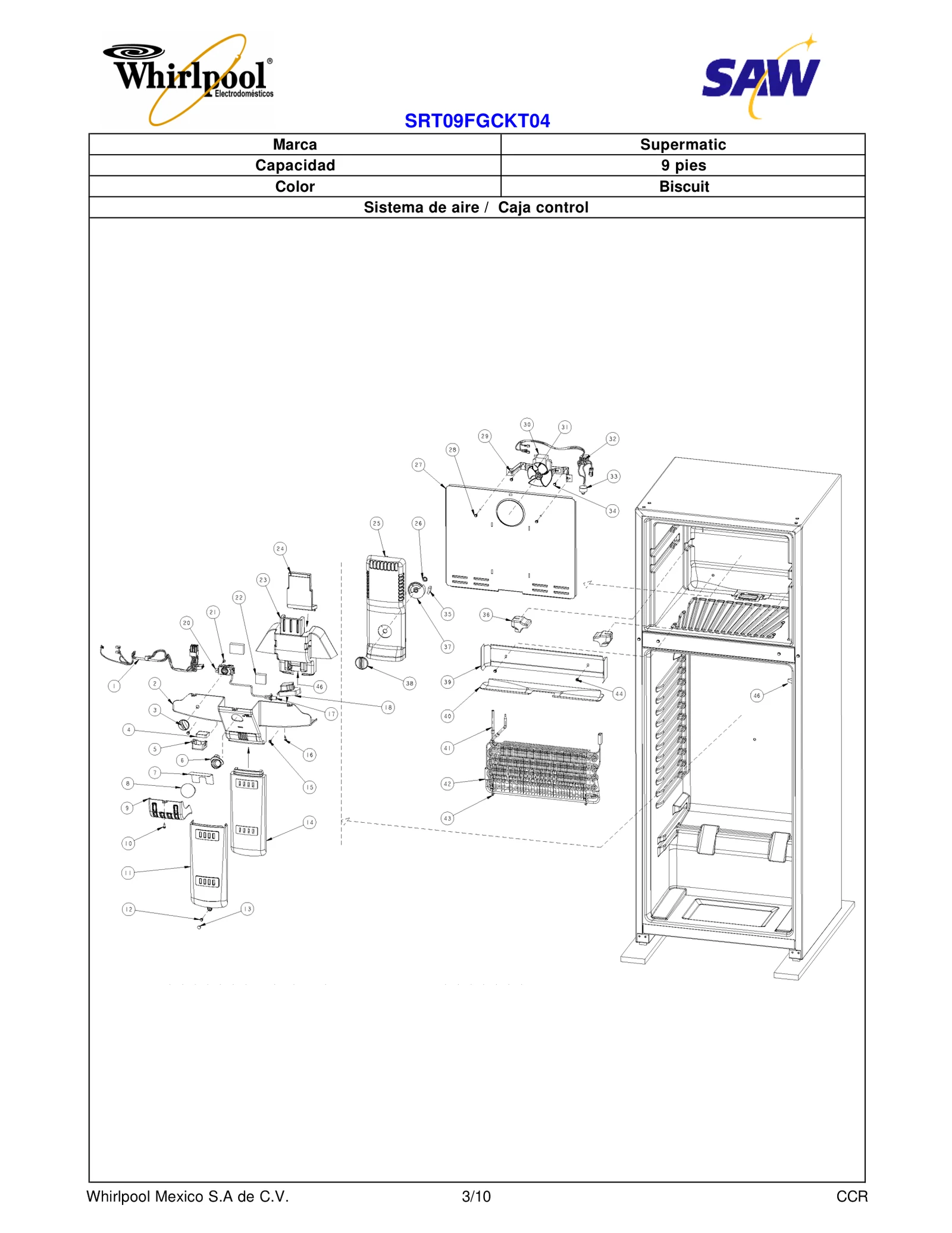 SECTION