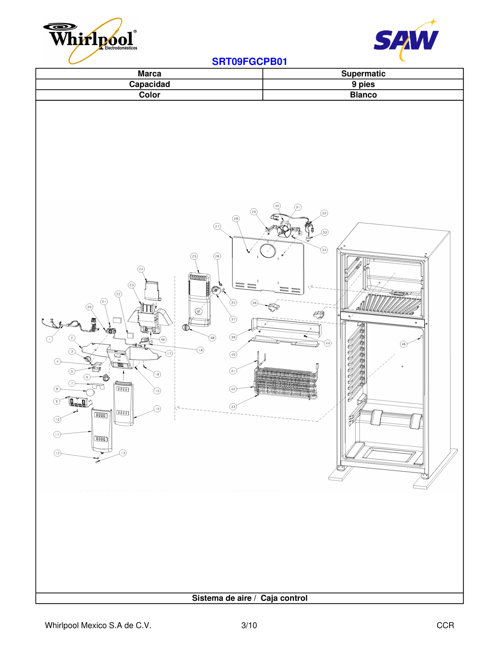 SECTION