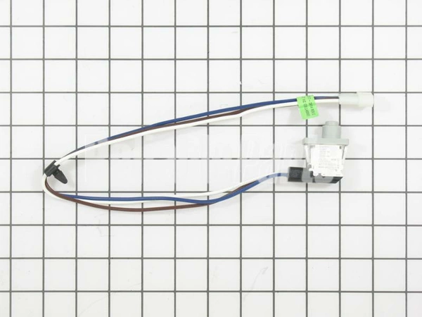 W10318609 Whirlpool Dryer Door Switch