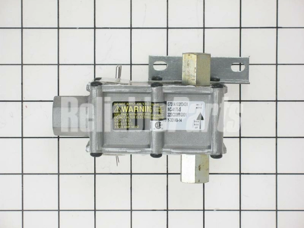 WB19K36 GE Range Control Valve