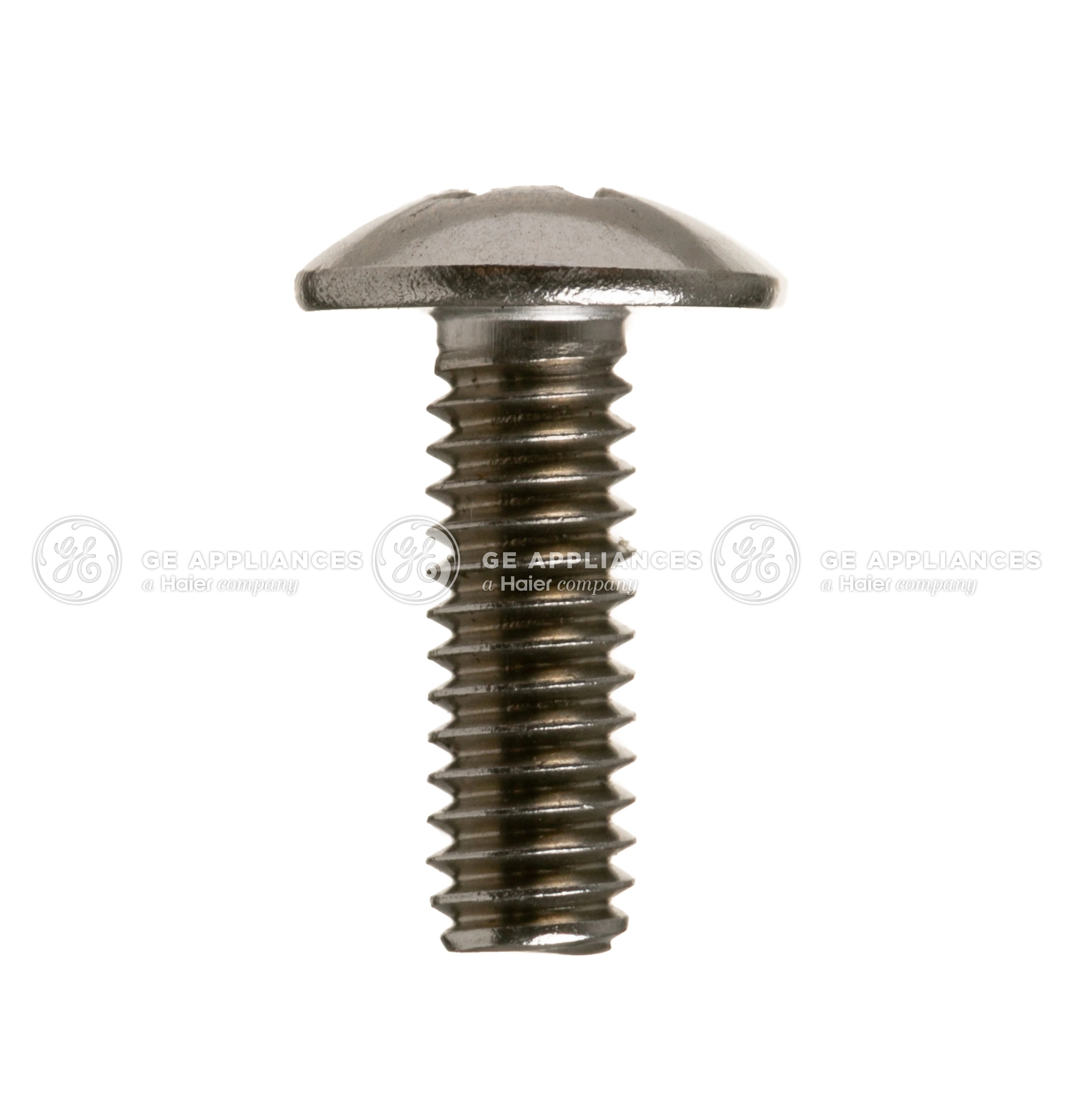WR01X25981