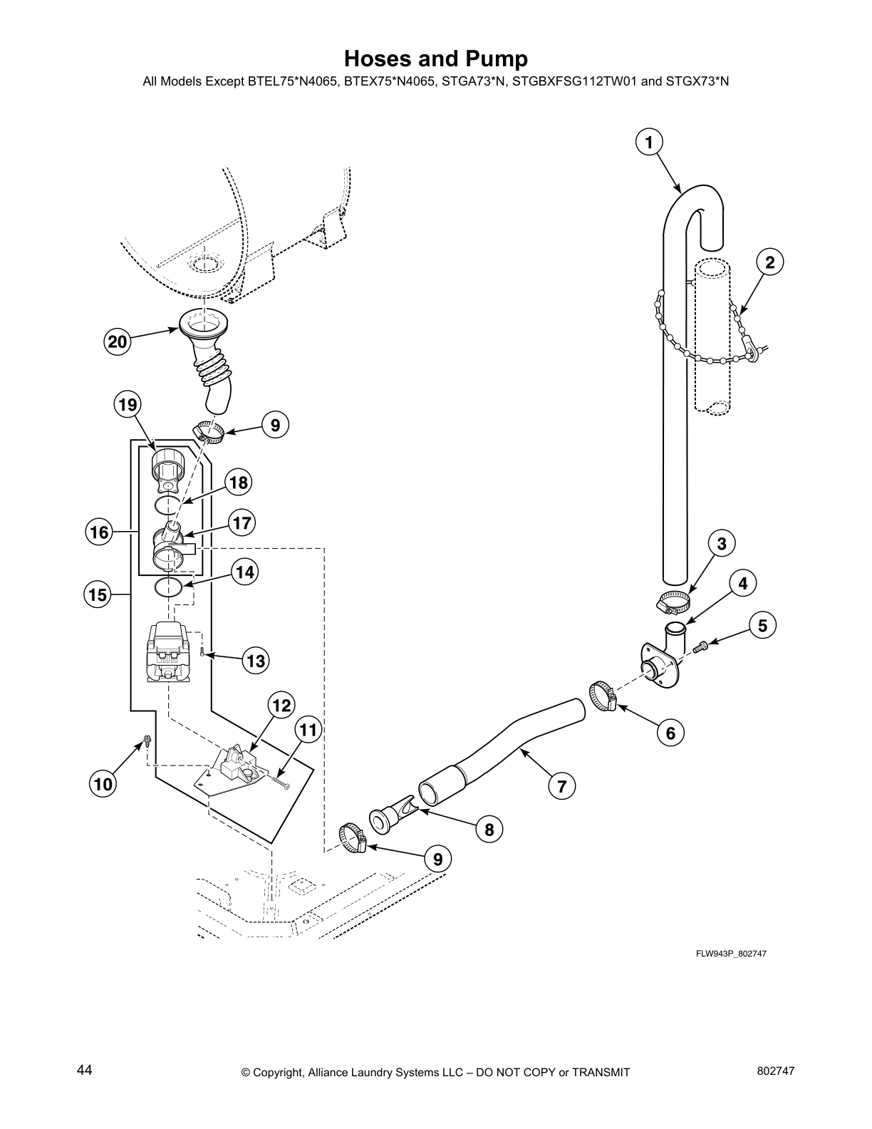 Hoses and Pump