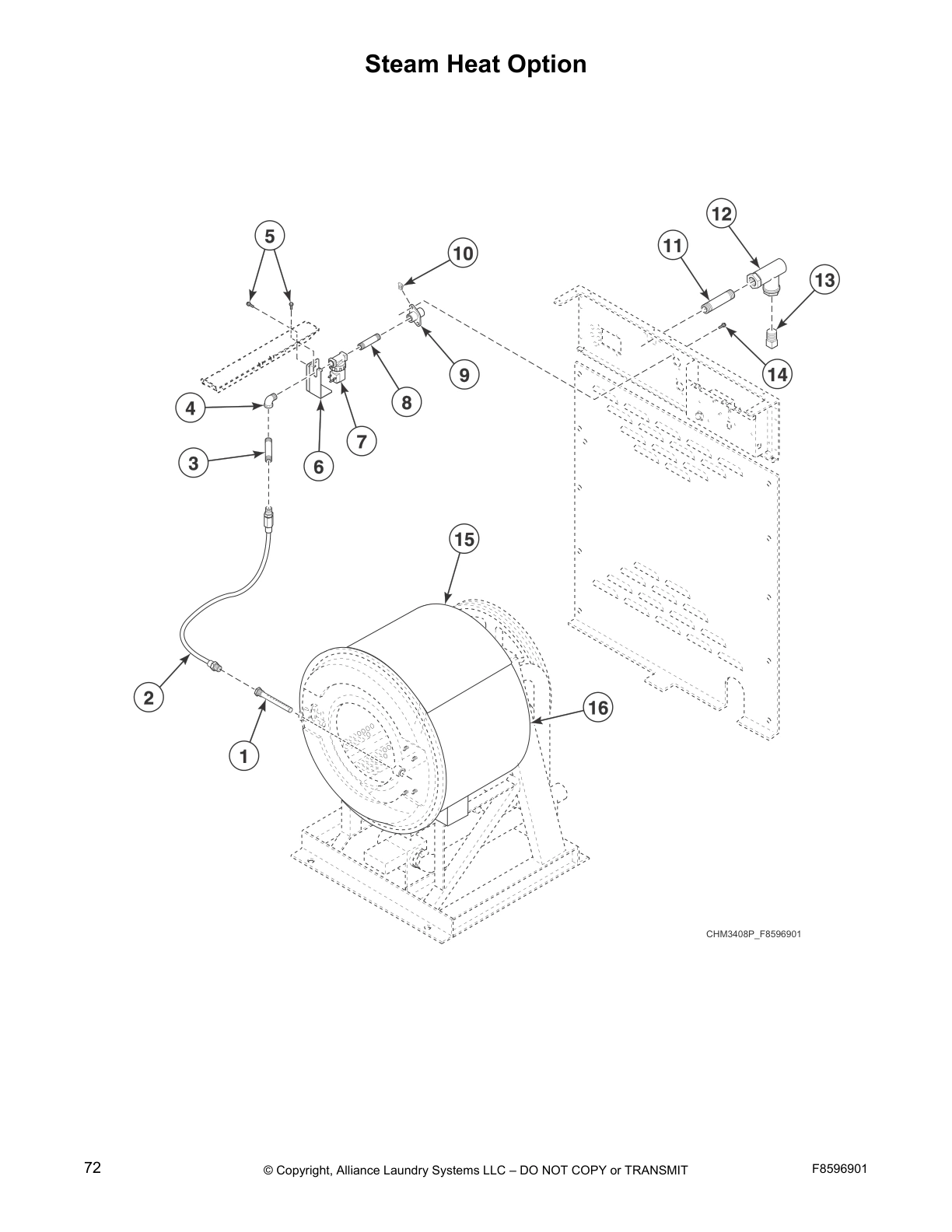 Steam Heat Option