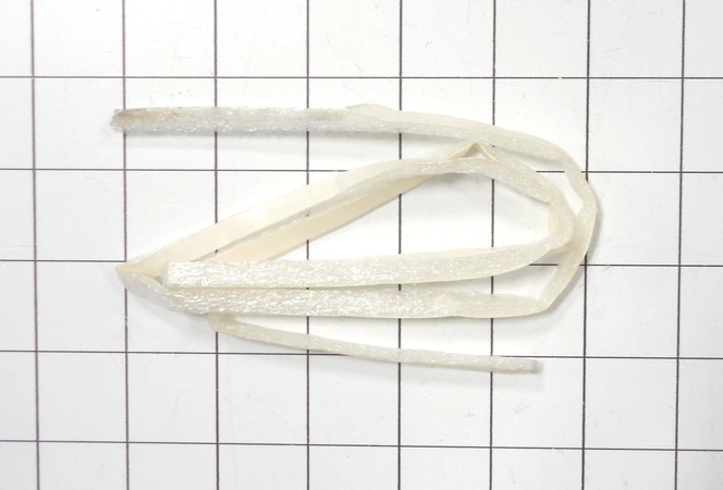 241528303 Frigidaire Refrigerator Seal
