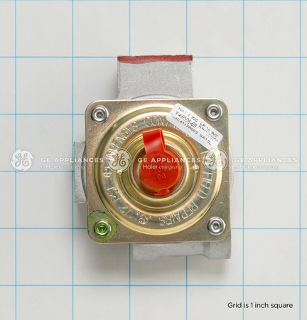 WB19K10018 GE Range Pressure Regulator