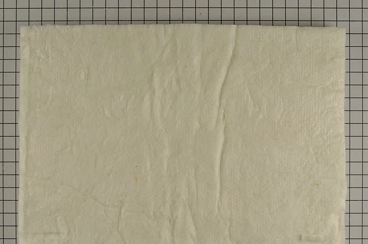 WPW10204079
