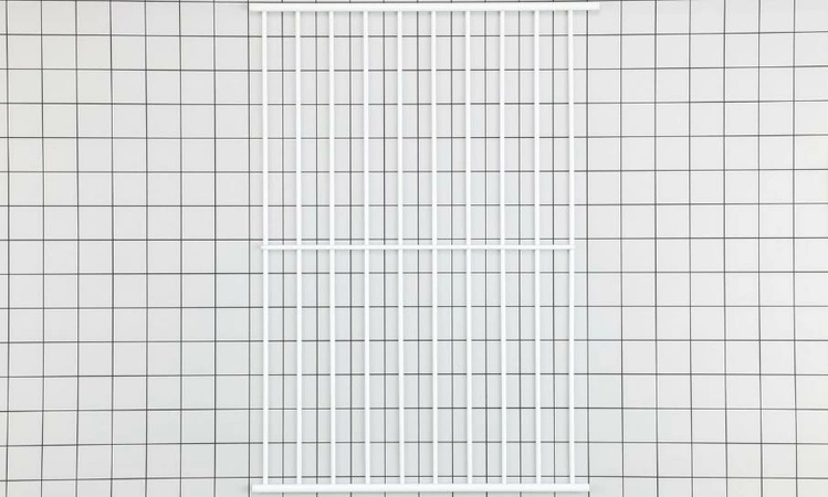 241657601 Frigidaire Refrigerator Shelf