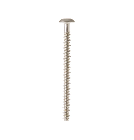 WB01T10067 GE Range Screw 10-16 PL PNT