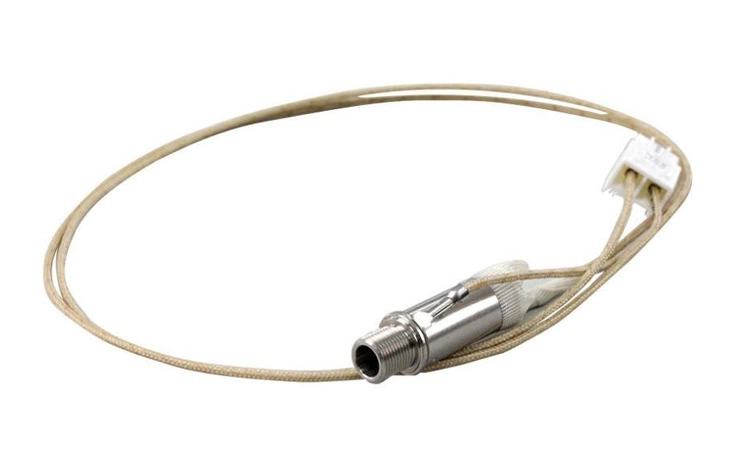 EAG43128001