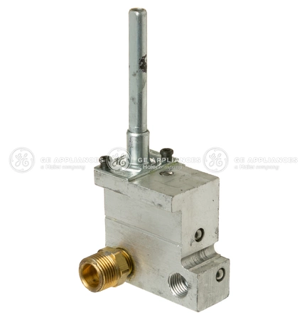 WB21X30342 GE Gas Valve Dual Rear