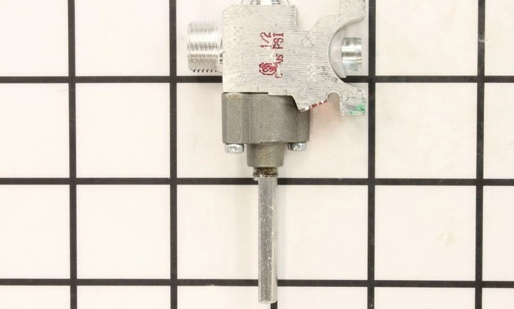 WB21X22076 GE Valve Kit
