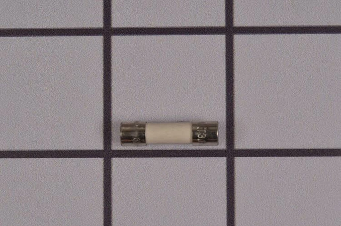 W10487251 Whirlpool Dishwasher Fuse