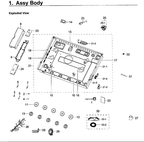 BODY