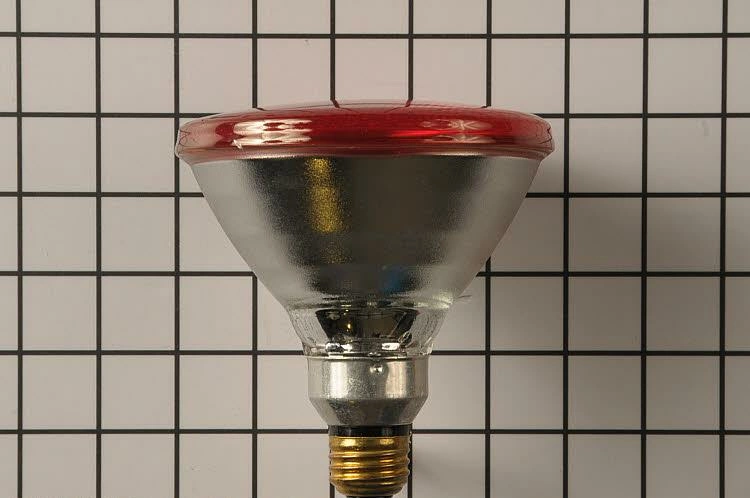 WPW10294005