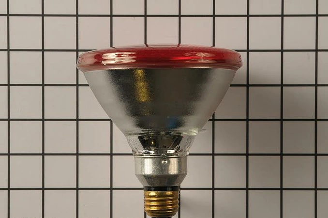 c82e16da-9f5f-41f8-8f79-e8833220f364_small main product photo