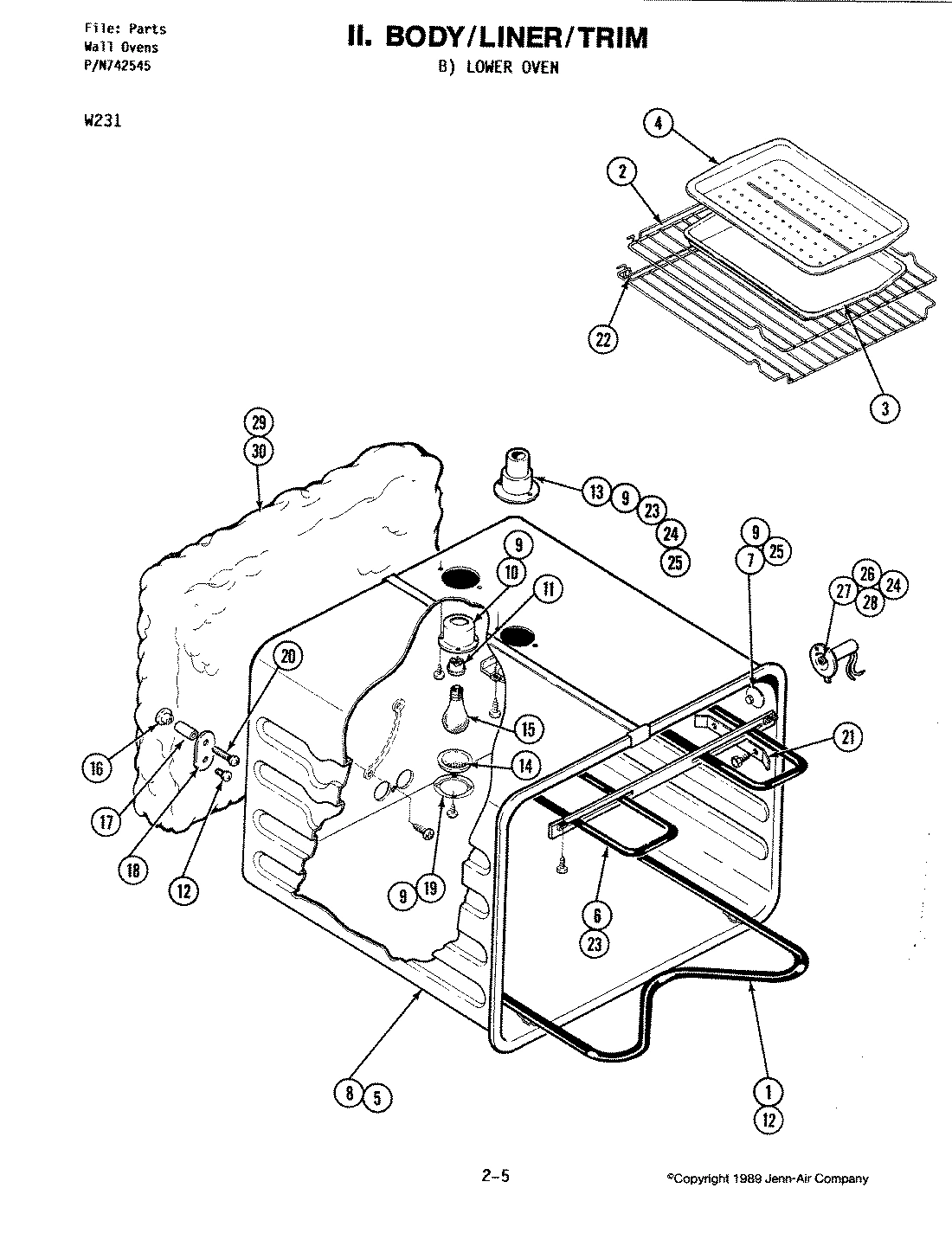 05 - BODY (LOWER)