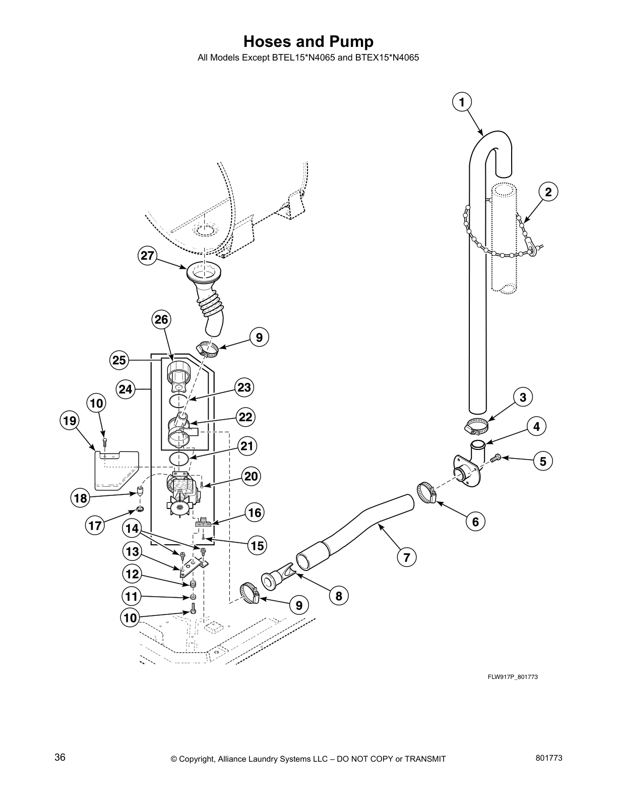 Hoses and Pump