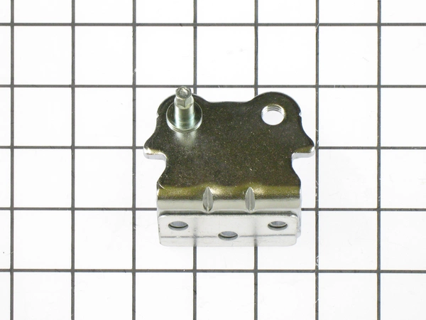 4775JJ2013B LG Lower Hinge Assembly
