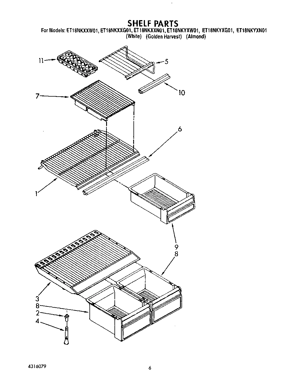 05 - SHELF