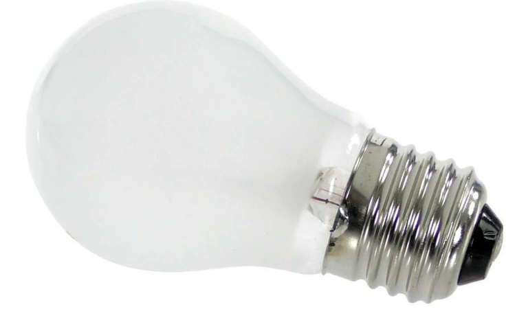 6912JB2004L LG Incandescent Lamp