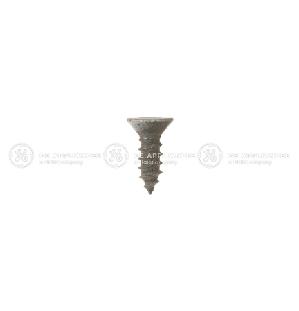 WB1K66 GE Screw