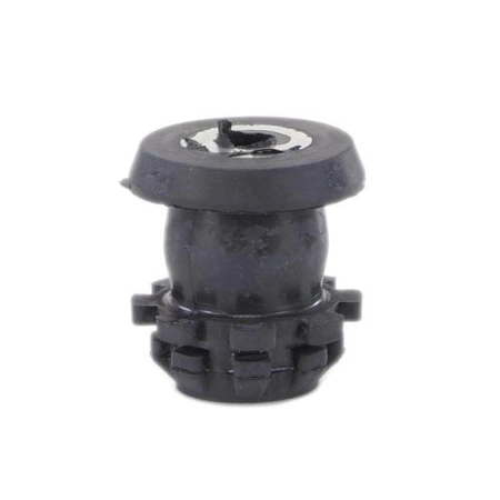 MCQ41502701