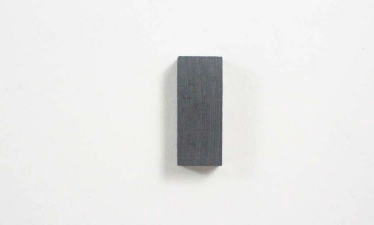RAB32775604 LG Ferrite Magnet