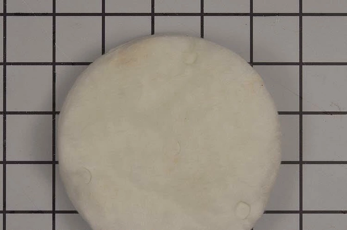 W10274268 Whirlpool Insulation