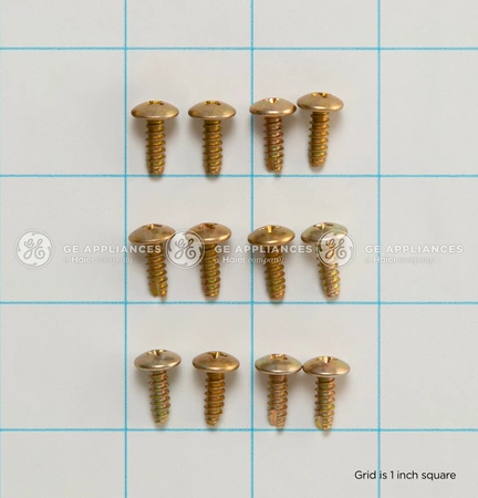 WZ5X219D GE Screw Package