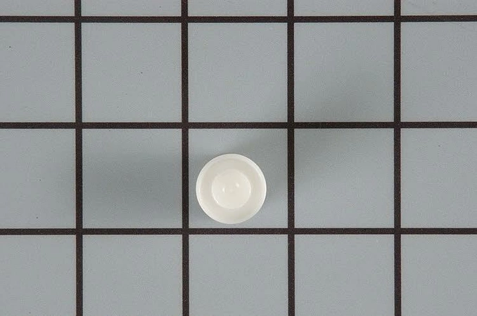 WS22X10022 GE Drain Seal