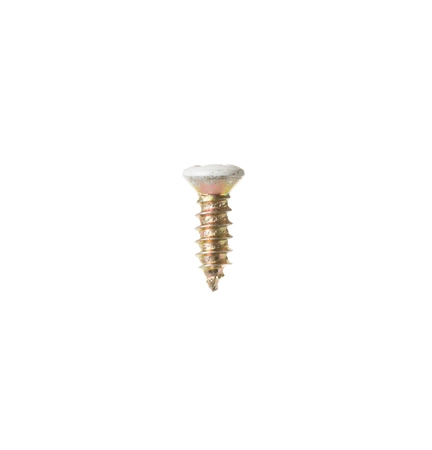 WB1K58 GE Screw 8-18