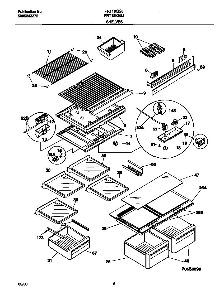 04 - SHELVES