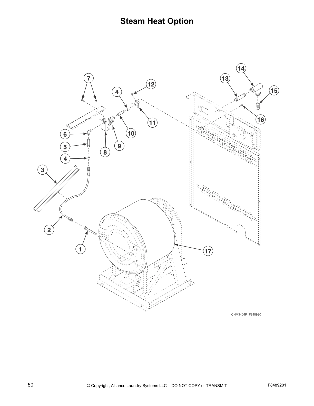 Steam Heat Option