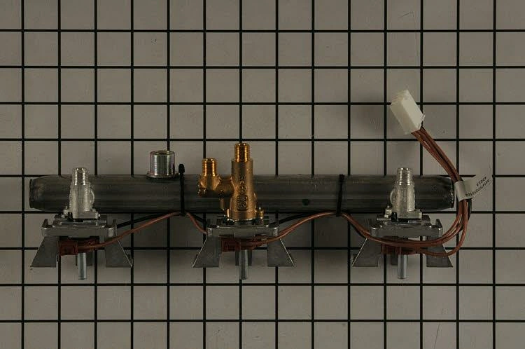 W11384736