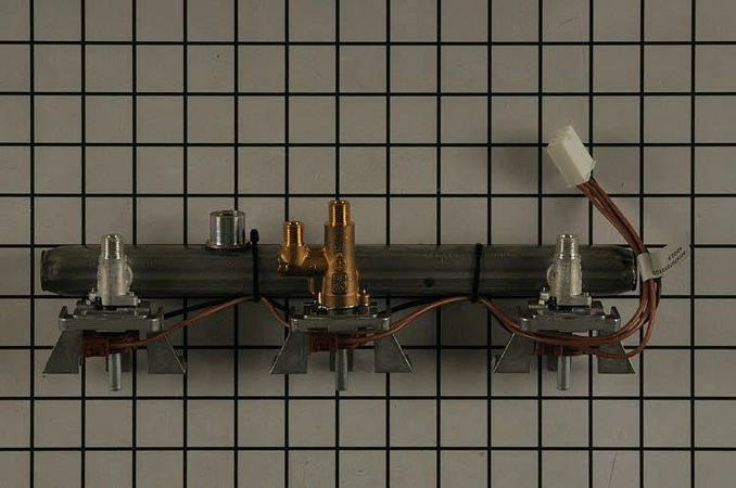 W11384736