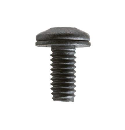 WB01X39875 GE Screw M4 x 0.7 T10 TREATED