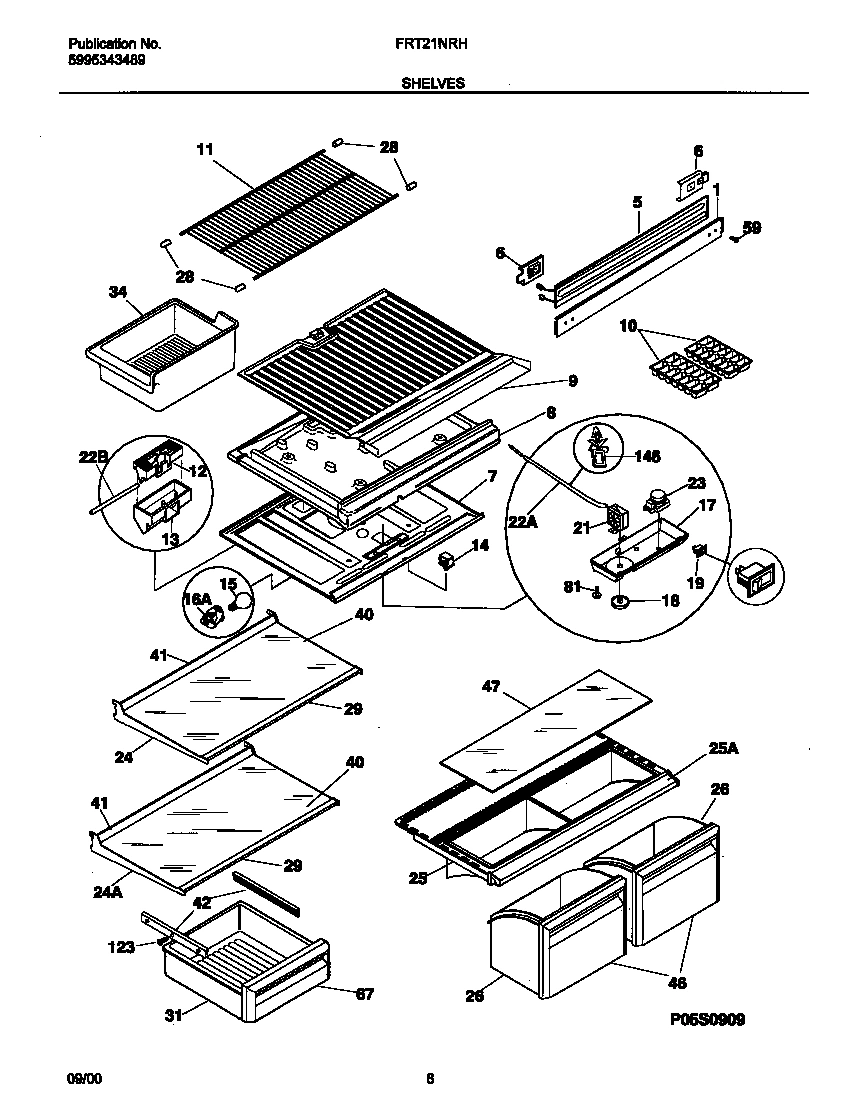04 - SHELVES