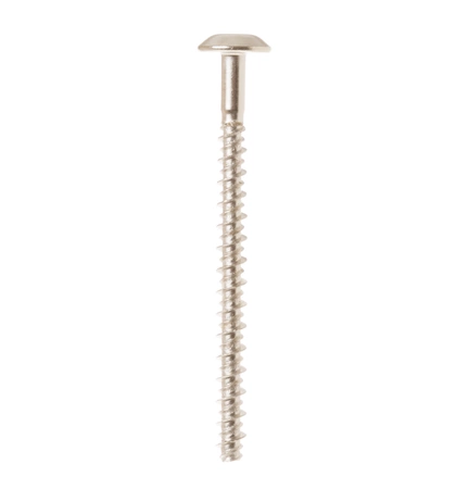WB01T10129 GE Oven Screw 10-16 2.5 In T20