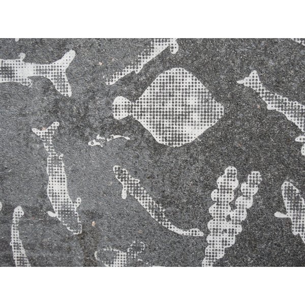 Graphic Concrete